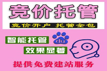 百度推广优化技巧：案例分析